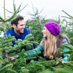 Weihnachtsbaum aussuchen gehört zur Weihnachtszeit dazu.