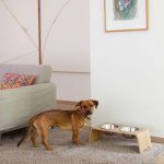 Mit der Dogbar wird der Futterplatz zu einem Blickfang im Wohnzimmer. Die ästhetische Futterstation ist ab 119 Euro erhältlich. Foto: djd/Oskar Designmanufaktur