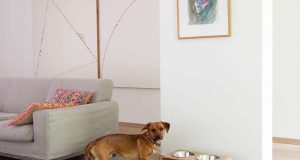 Mit der Dogbar wird der Futterplatz zu einem Blickfang im Wohnzimmer. Die ästhetische Futterstation ist ab 119 Euro erhältlich. Foto: djd/Oskar Designmanufaktur