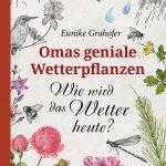 Wetterpflanze Wetterpflanzen
