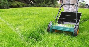 Rasen: So ein kraftvolles und strahlendes Grün wünschen sich viele Gartenbesitzer für ihre Rasenfläche. Doch dafür benötigt diese laufend Pflege - beginnend mit dem Vertikutieren im Frühjahr. Foto: djd/Floragard Vertriebs-GmbH