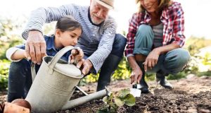 Wundheilung - Bei Arbeiten im Garten kann es schnell einmal zu kleinen Verletzungen kommen - hier ist sorgfältige Behandlung gefragt. Foto: djd/Medice/AdobeStock/Halfpoint