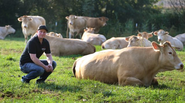 Feines aus Weinfranken - Auenlandbeef