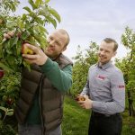Landwirtschaft: Die Äpfel aus der Nachbarschaft sind im Supermarkt vor Ort erhältlich. Foto: djd/REWE/Sonja Tobias