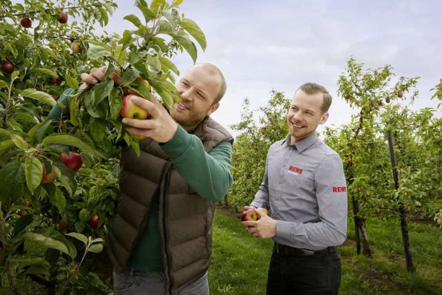 Landwirtschaft: Die Äpfel aus der Nachbarschaft sind im Supermarkt vor Ort erhältlich. Foto: djd/REWE/Sonja Tobias