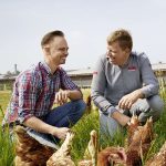 Landwirtschaft: Eier und Hähnchenfleisch aus regionaler Haltung sind auch in großen Supermärkten zu finden.