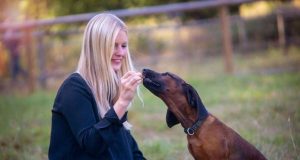 Leckerlis: "Gut gemacht": Über ein Leckerli zur Belohnung freut sich jeder Hund. Foto: djd/Christopherus