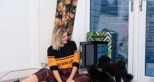Tiertür: Mit ein bisschen Training und Leckerlis haben sich Hunde und Katzen schnell an ihre neue Eingangstüre gewöhnt.