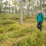 Aufgepasst beim Geocaching: Zecken fallen nicht vom Baum, sondern sind in maximal 1,5 Metern Höhe bevorzugt in Wiesen, Gräsern und Büschen, vorzufinden. Foto: djd/Pfizer/www.zecken.de