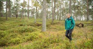 Aufgepasst beim Geocaching: Zecken fallen nicht vom Baum, sondern sind in maximal 1,5 Metern Höhe bevorzugt in Wiesen, Gräsern und Büschen, vorzufinden. Foto: djd/Pfizer/www.zecken.de