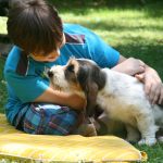 Hundehalter, die Kinder haben, legen besonderen Wert auf natürliche Präparate.