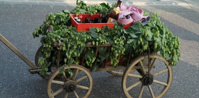 cart-436550_1920