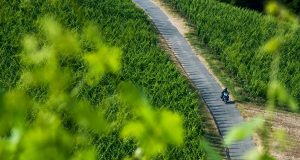 Landschaftlich lassen die Touren durch die Karlstadter Weinberge und die Region keine Wünsche offen.
