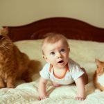 Katze und Baby