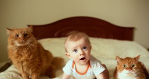 Katze und Baby