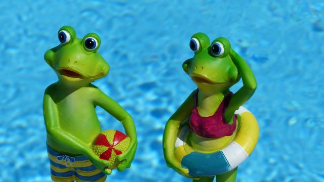 frog-830869_1920