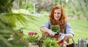 Gestaltete Außenbereiche: Mit Kübel- oder Balkonpflanzen lassen sich ganz einfach schöne Akzente im Garten oder auf der Terrasse setzen. Weitere Ideen und nützliche Tipps für die Gestaltung des Außenbereichs sind über die Online-Suche zu finden.