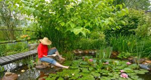 Rekordtemperaturen im Hochsommer belasten auch den Gartenteich: Wer sich daher an seinem feuchten Idyll an heißen Tagen erfreuen möchte, sollte immer für genügend Sauerstoffzufuhr im Wasser sorgen.