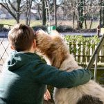 Zeckenbefall: Mit dem besten Freund des Menschen kuschelt man noch viel lieber, wenn man weiß, dass er gut vor Zecken geschützt ist. Foto: djd/Biokanol Pharma GmbH/www.formel-z.info