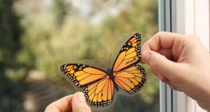 Insekten: Dekorative Fliegenköder schützen vor nervenden Fliegen. Foto: djd/Aeroxon Insect Control GmbH