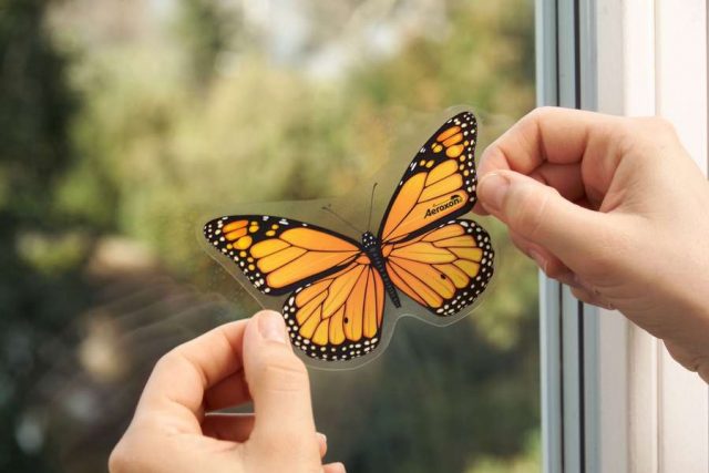 insekten Insekten: Dekorative Fliegenköder schützen vor nervenden Fliegen. Foto: djd/Aeroxon Insect Control GmbH