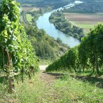 So reizvoll präsentiert sich das Fränkische Weinland im Herbst Wanderern. Idealer Ausgangspunkt für eine Tour durch die Weinberge ist Karlstadt.