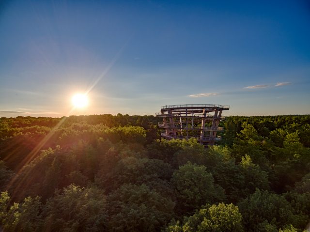 Baumwipfelpfad Steigerwald Abend (c) Bayerische Staatsforsten, Martin Hertel