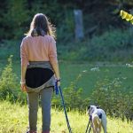 Haustierboom: Mindestens zweimal am Tag Gassi gehen sollte für Hundebesitzer Pflicht sein.