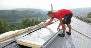 Haus- und Wohnungsbesitzer können bei der Förderung zwischen Krediten mit Zuschüssen, direkten Zuschüssen oder Steuerentlastungen wählen.