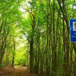 Grundwasser: Unser Trinkwasser stammt aus der Natur. Seine Qualität wird beispielsweise durch die Einrichtung von Trinkwasserschutzgebieten gesichert.