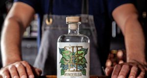 Lifestyle und Gesundheit waren schon vor Corona in aller Munde, jetzt sind sie es noch mehr. Diesem Trend entspricht das wachsende Angebot alkoholfreier Spirituosen, etwa der alkoholfreien Alternative zu Gin.