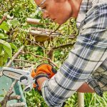Sträucher: Akkubetriebene Gartenhelfer sorgen für saubere Schnitte und ein kräfteschonendes Arbeiten.