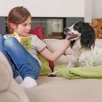 Wenn der Hund lieber liegt als läuft, kann dies ein Hinweis auf Arthrose sein.