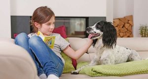 Wenn der Hund lieber liegt als läuft, kann dies ein Hinweis auf Arthrose sein.