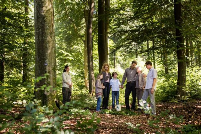 Bestattungswald Friedwald