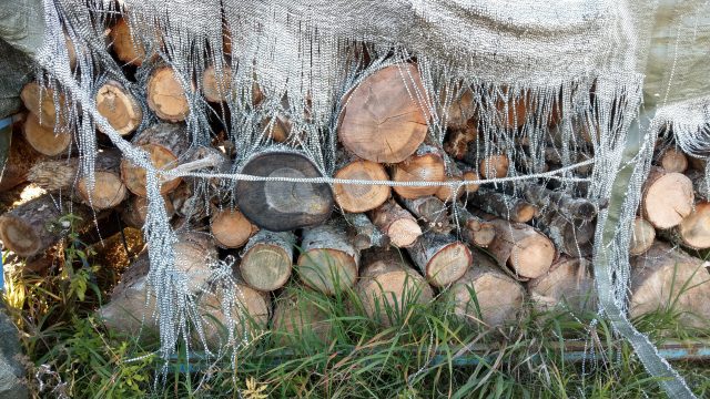 Holzstapel_doris_dellert