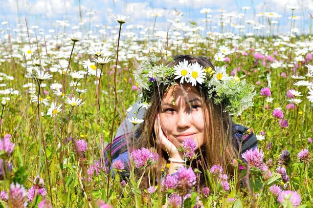 meadow-3674577_1280