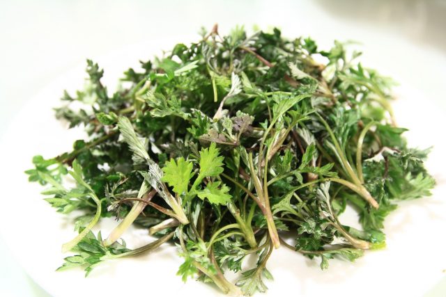 wormwood-1338208_1280