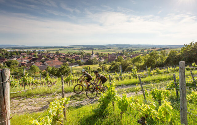 Hassberge-9013