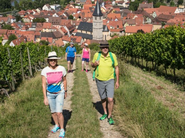 Randersacker, near Würzburg, Franconia, Bavaria, Germany