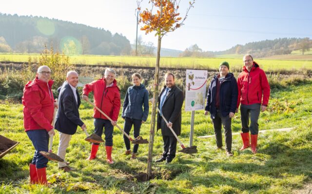 RhoenerBaumART_Presse