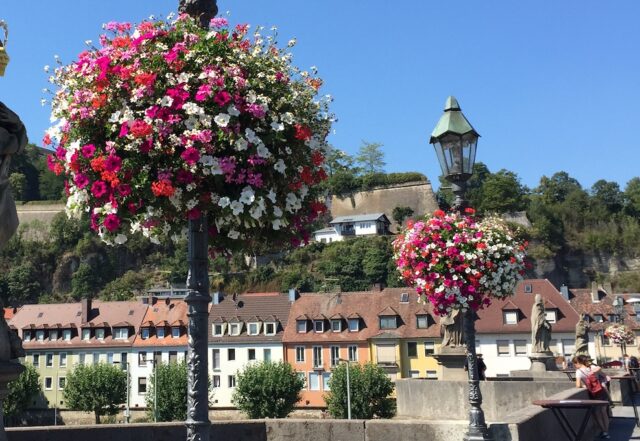 Bild_3