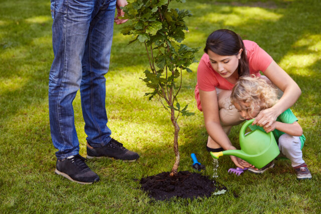 Mother and child watering tree
