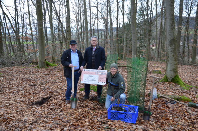 Pressefoto_Pflanzaktion Marktgemeinde Oberschwarzach