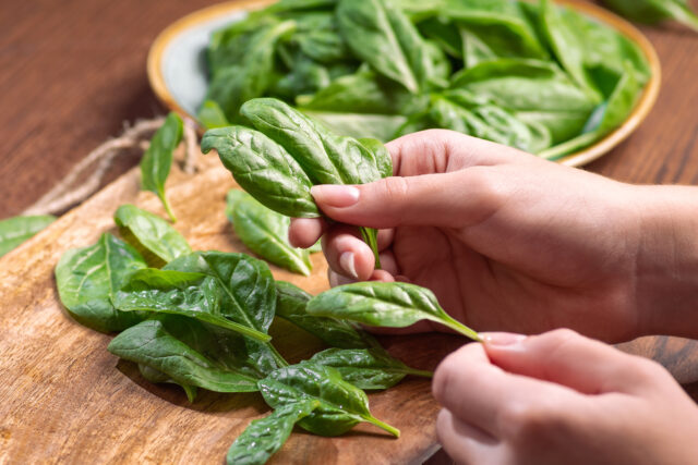 Clean food concept. Bunch of leaves of fresh organic spinach greens in hand . Healthy detox spring-summer diet. Vegan Raw Food.