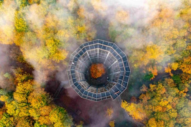Baumwipfelpfad Steigerwald_Turm_ Martin Hertel_BaySF