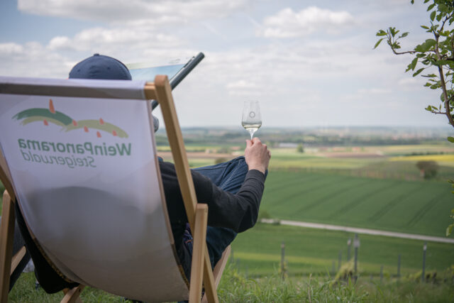 Weinpanorama 2023 - Fotograf Sergej Chernoisikov