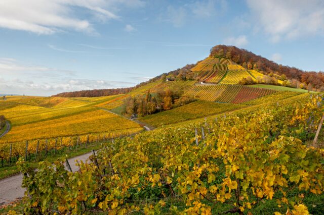 Handthal_Stollburg_Herbst_SW360_S.Chernoisiko