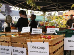 Apfelmarkt im Steigerwald